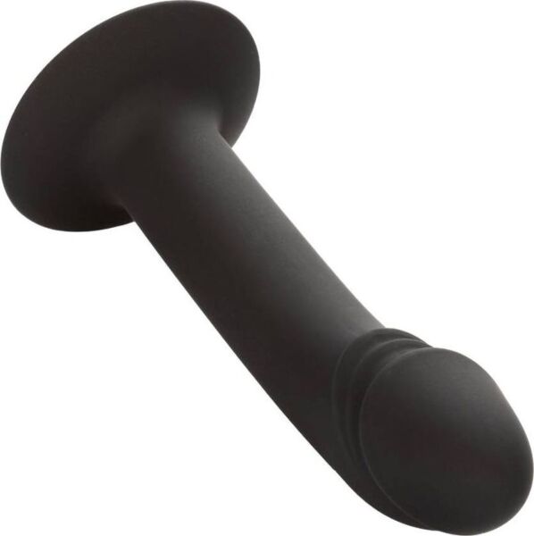 Πρωκτικό ντίλντο CalExotics Curved Anal Stud με κυρτή άκρη και βάση με βεντούζα