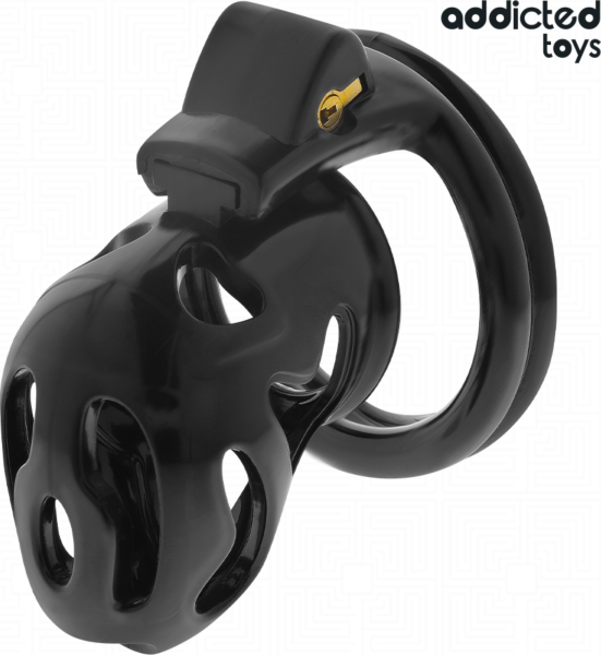 Κλουβί αγνότητας Addicted Toys Locked 8 cm με τα τέσσερα δαχτυλίδια και τα κλειδιά του