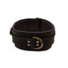 Κολάρο Bound από Nubuck Leather με 3 D-rings