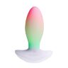 Δονητής Paradise Pleasure Products The Plug με RGB φωτισμό