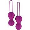 Μπάλες Βαγκινικών Nomi Tang IntiMate Plus για εκπαίδευση Kegel