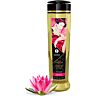 Λάδι Μασάζ SHUNGA Amor με Ylang-Ylang 240 ml