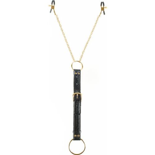 Δαχτυλίδι Fetish Fantasy Gold και Πιέτες Θηλών