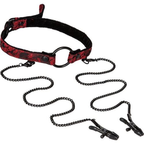 Μορδακή με Πιέσεις Scandal | Έλεγχος και Στιγμές Ερεθισμού