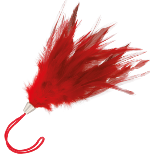 Διεγέρτης DARKNESS 17cm για Ερωτικές Φτερουγίσματα